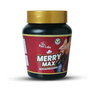 Merry Max - Palm Labs